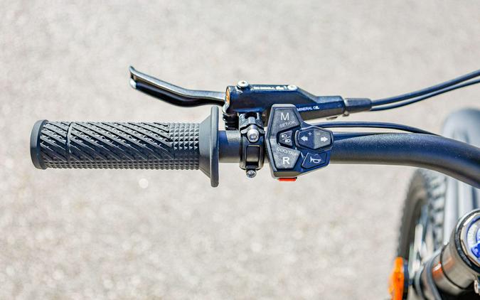 2025 79 BIKE FALCON PRO