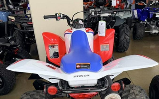 2026 Honda TRX250X