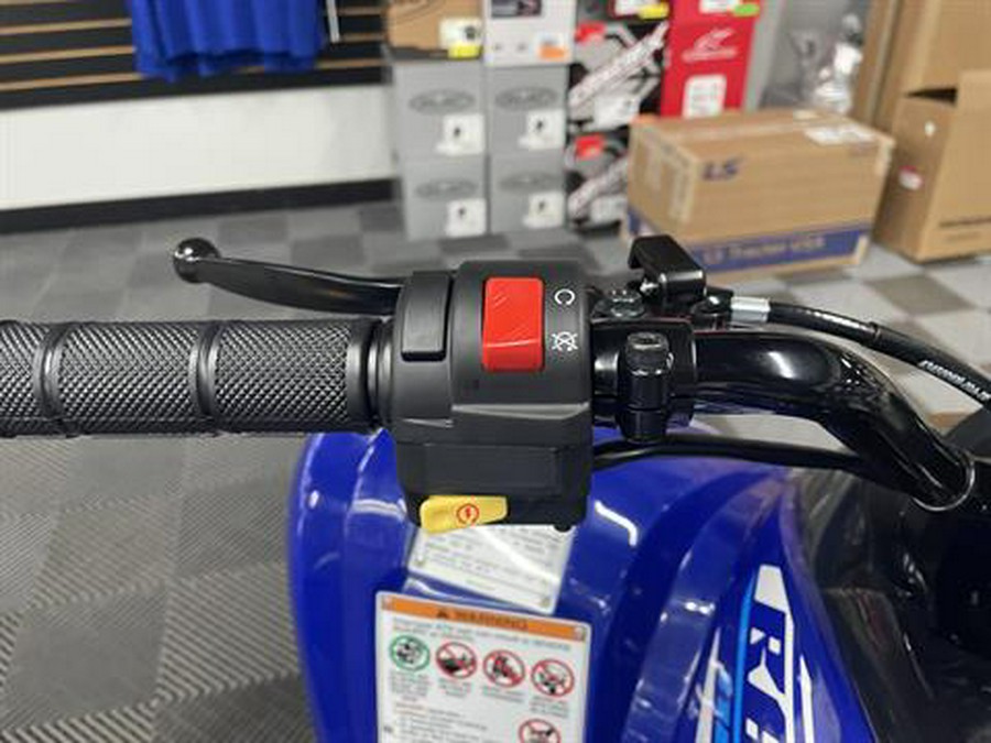 2026 Yamaha Raptor 110