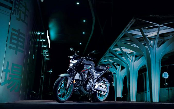 2023 Yamaha MT 03