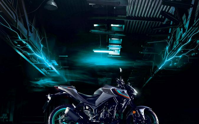 2023 Yamaha MT 03