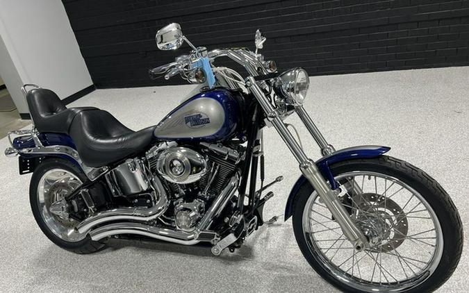 2007 Harley-Davidson Softail FXSTC - Custom