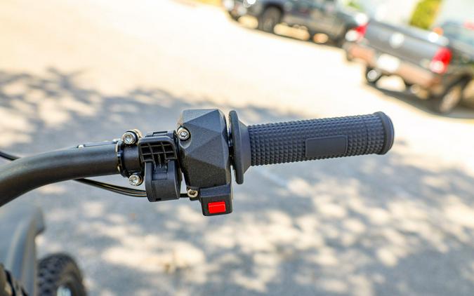 2025 79 BIKE FALCON GT