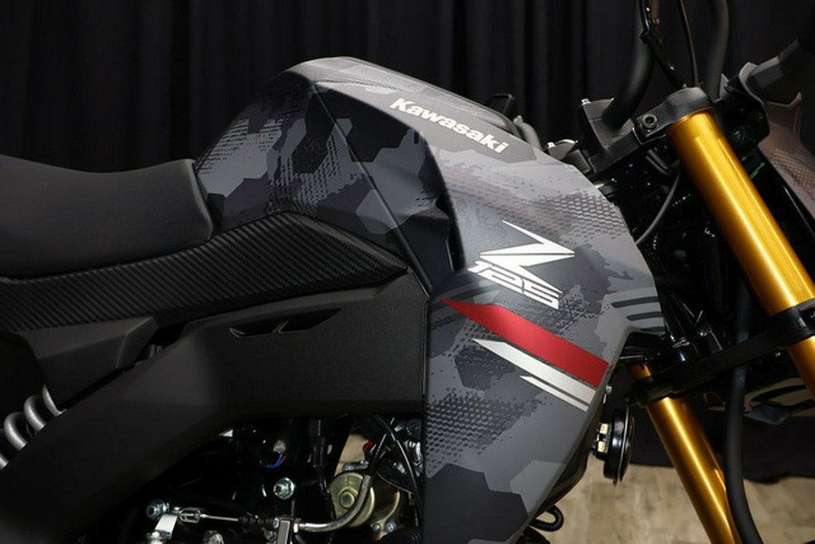 2024 Kawasaki Z125 PRO Cypher Camo Gray MatteMetallic Matte Car