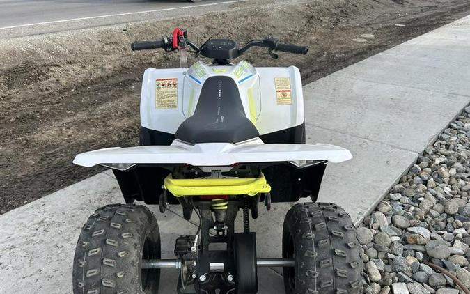 2024 CFMOTO CFORCE EV110