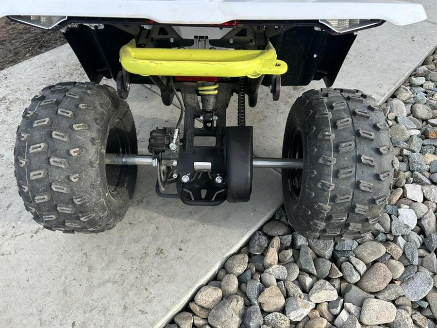 2024 CFMOTO CFORCE EV110