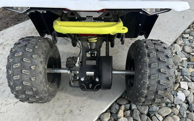 2024 CFMOTO CFORCE EV110