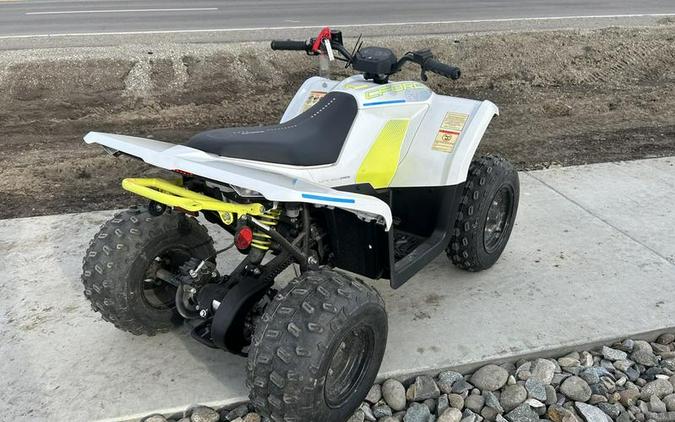 2024 CFMOTO CFORCE EV110