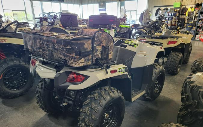 2023 Arctic Cat ALTERRA 450