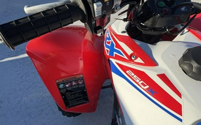 2026 Honda TRX 250X