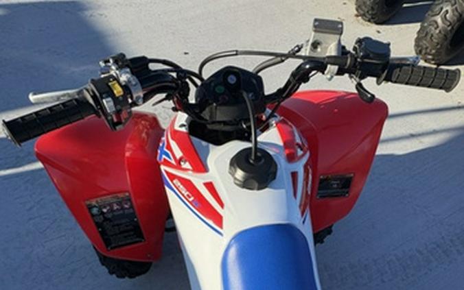 2026 Honda TRX 250X