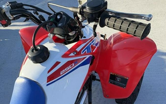 2026 Honda TRX 250X