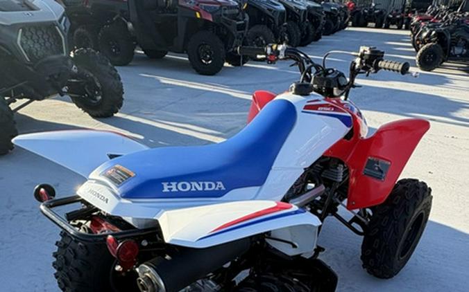 2026 Honda TRX 250X