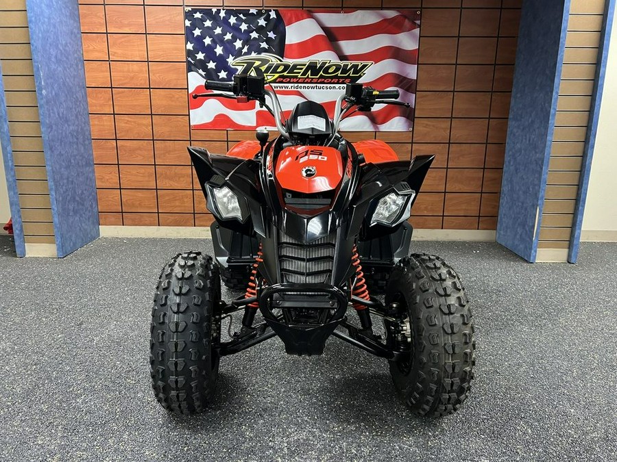 2023 Can-Am® DS 250