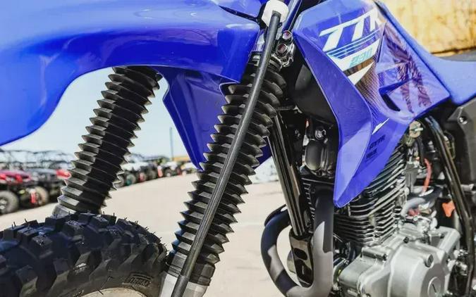 2027 YAMAHA TT-R230