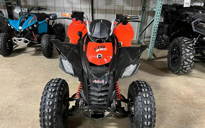 2025 Can-Am DS 250