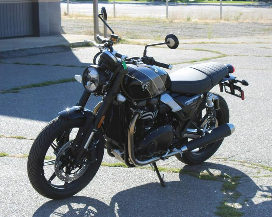 2025 Triumph Speed Twin 900 Phantom Black/Aurum Gold