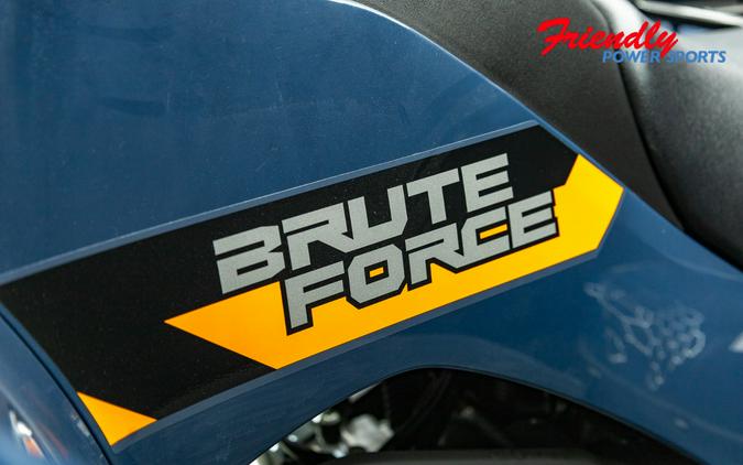 2026 KAWASAKI Brute Force® 300