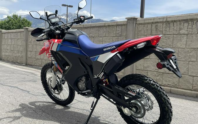 2025 Honda CRF300L Rally ABS