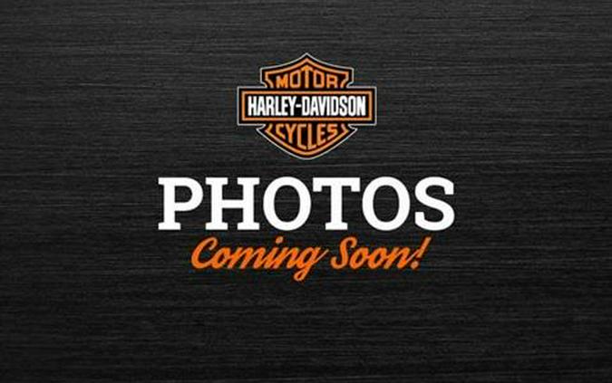 2021 Harley-Davidson CVO™ Limited