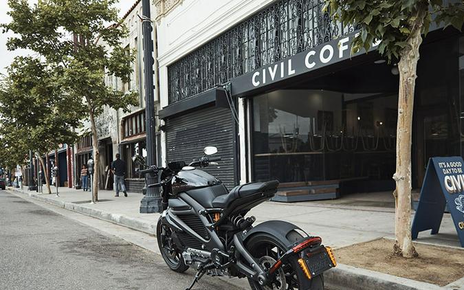 2020 Harley-Davidson LiveWire™ ELW