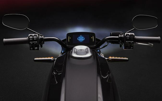2020 Harley-Davidson LiveWire™ ELW