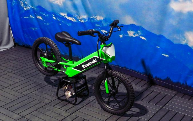 2023 Kawasaki Elektrode™