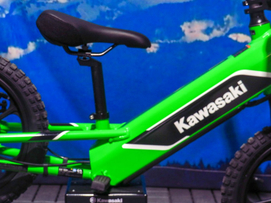 2023 Kawasaki Elektrode™