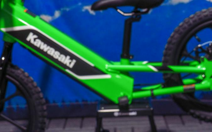 2023 Kawasaki Elektrode™