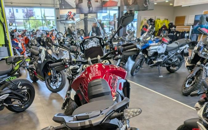 2025 Triumph TIGER 900 GT PRO