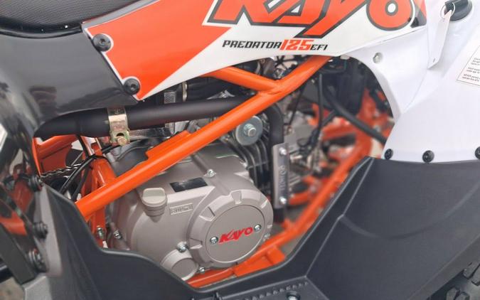 2026 Kayo Predator 125 EFI