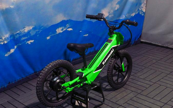 2023 Kawasaki Elektrode™