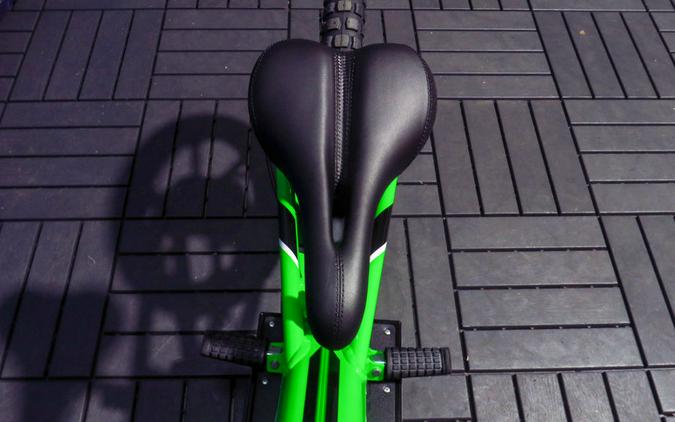 2023 Kawasaki Elektrode™