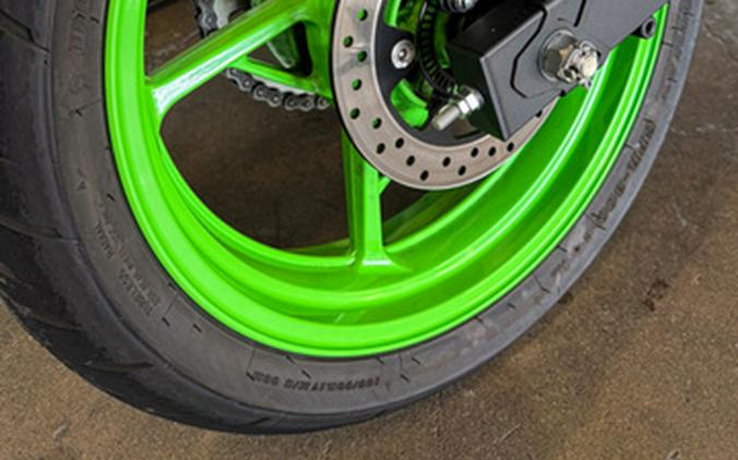 2024 Kawasaki Ninja 500 SE 40th Anniversary Edition ABS