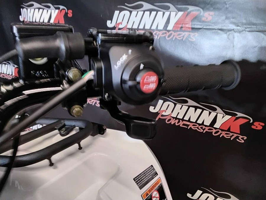 2025 Kawasaki Brute Force 450 4x4