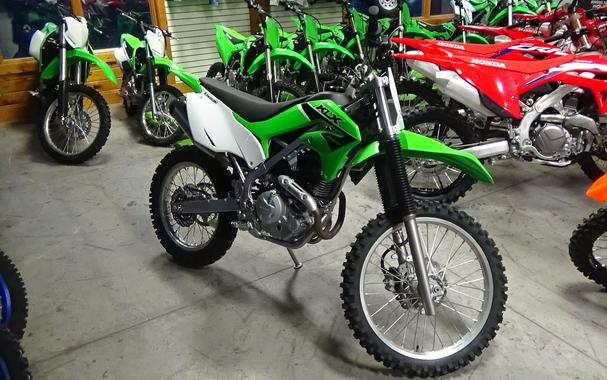 2023 Kawasaki KLX 230R