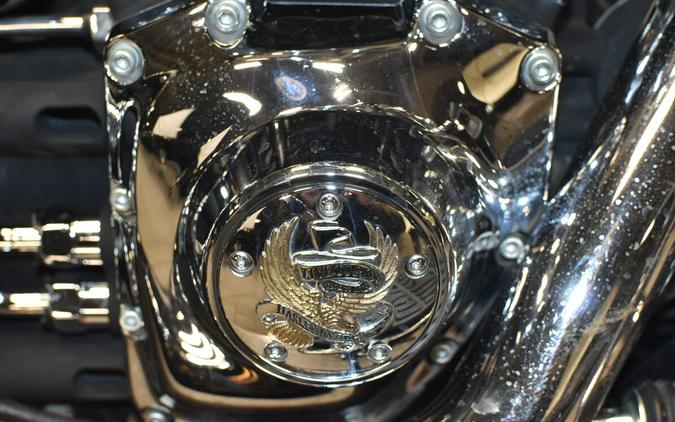 2008 Harley-Davidson Heritage Softail Classic