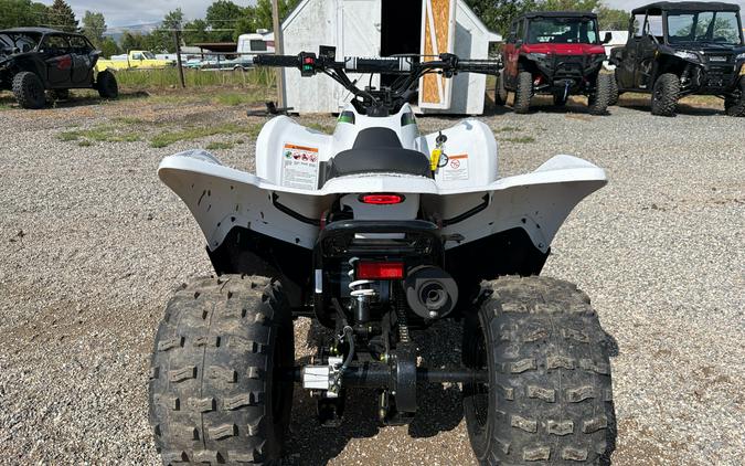 2027 Kawasaki KFX®90