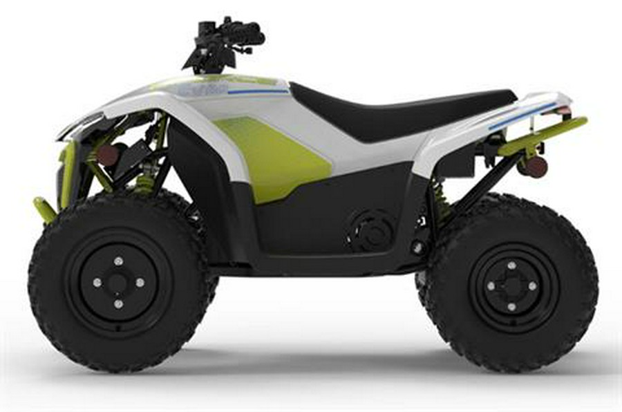 2024 CFMOTO CForce EV110