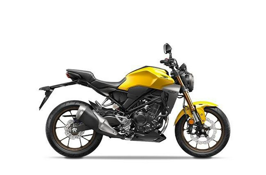 2023 Honda CB300 RAP