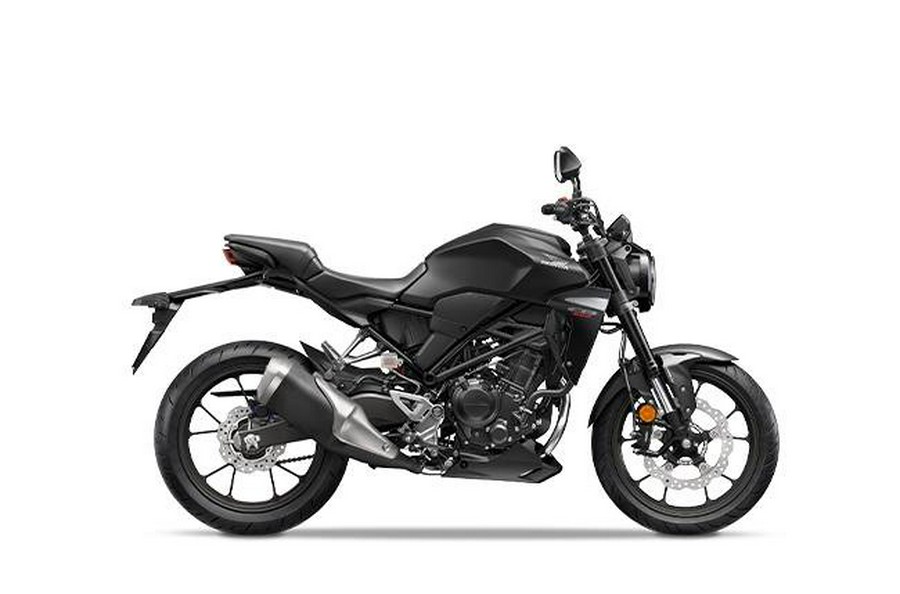 2023 Honda CB300 RAP