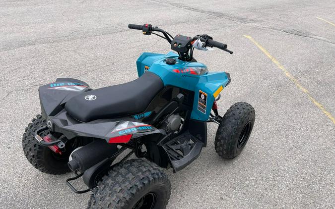 2024 Can-Am Renegade 110 EFI