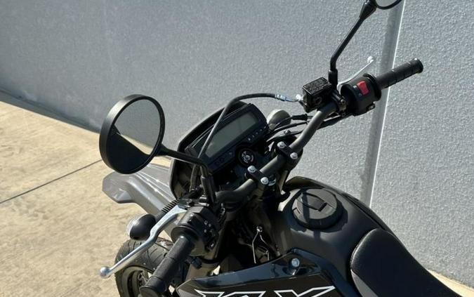 2025 Kawasaki KLX 300SM