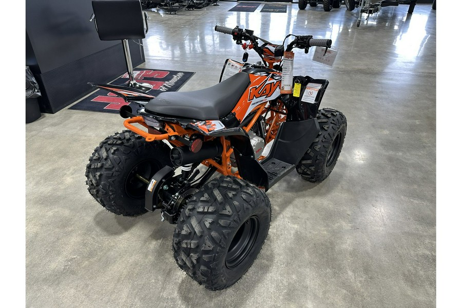 2026 Kayo PREDATOR 110