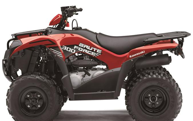 2024 Kawasaki Brute Force® 300