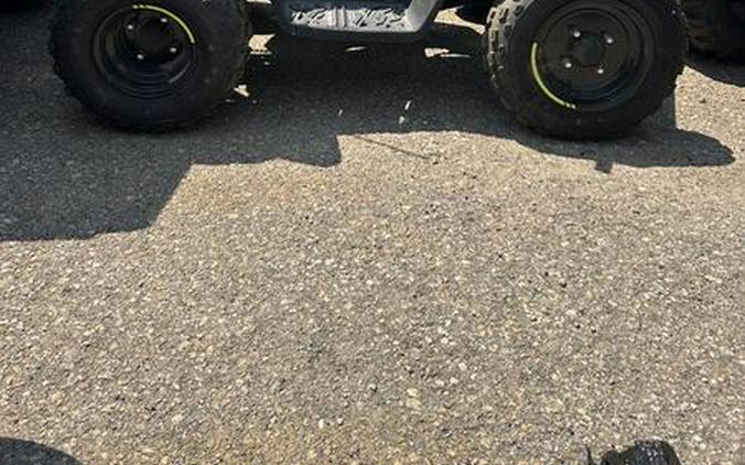 2023 CFMOTO CF110 - C2790