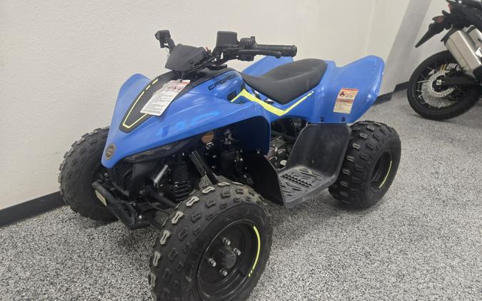 2023 CFMOTO CF110 - C2790