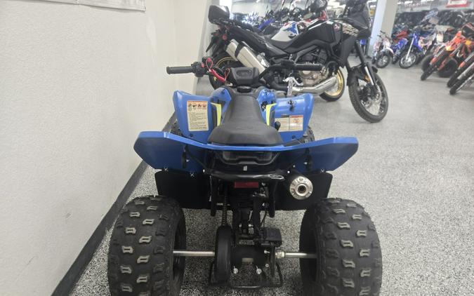 2023 CFMOTO CF110 - C2790