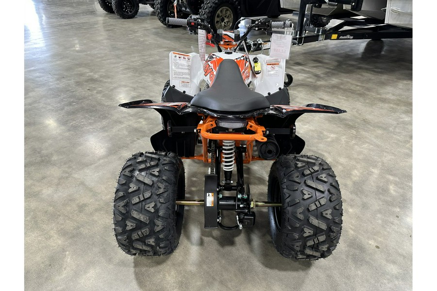 2026 Kayo PREDATOR 110