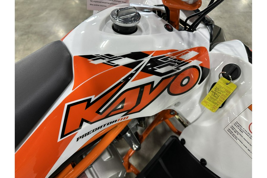 2026 Kayo PREDATOR 110